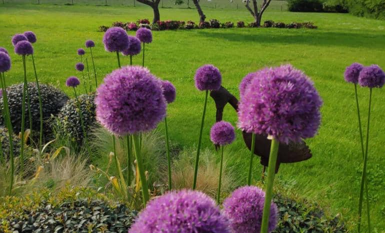 Le Tribeca : Restaurant, restaurant à Gerpinnes