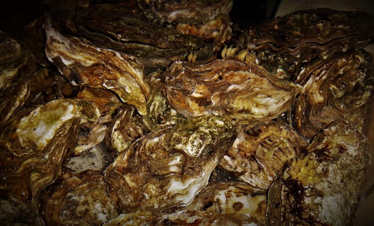 Aux 9 Tilleuls, restaurant à Silly