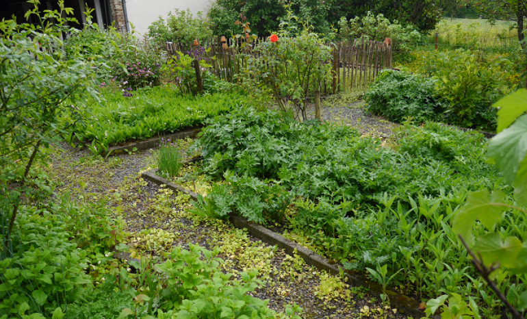 Le Jardin d'En Bas, restaurant à Annevoie-Rouillon (Anhée)