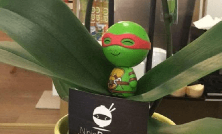 Ninja Ramen, restaurant à Liège