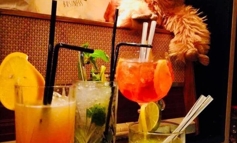 O Bar, brasserie à Saint-Georges-sur-Meuse