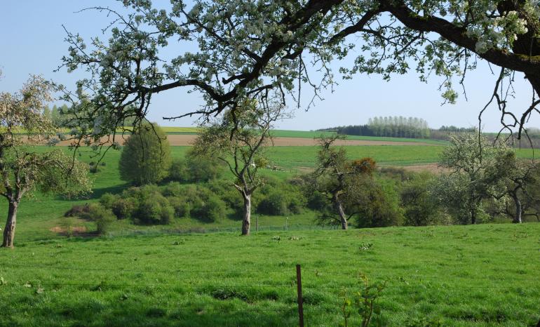 La Fermette, restaurant à Falaen (Onhaye)