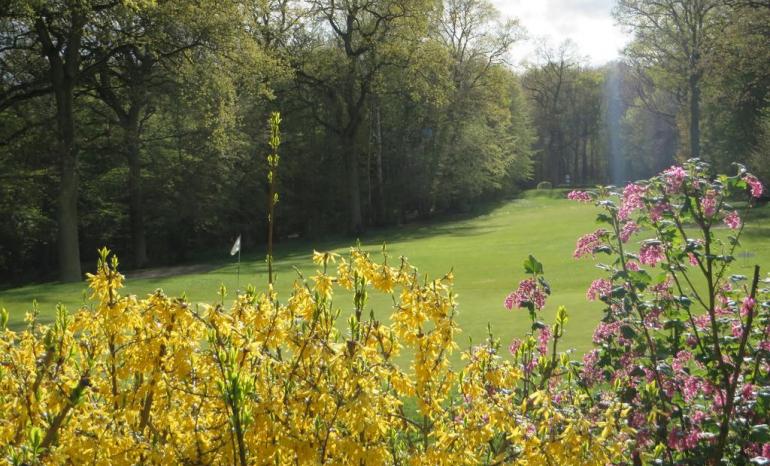 Brasserie NH : Golf, golf à Mazy (Gembloux)