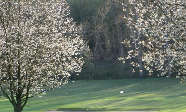 Brasserie NH : Golf, golf à Mazy (Gembloux)