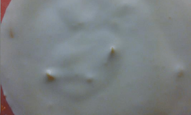 Fresh And Tasty, sandwicherie à Bruxelles