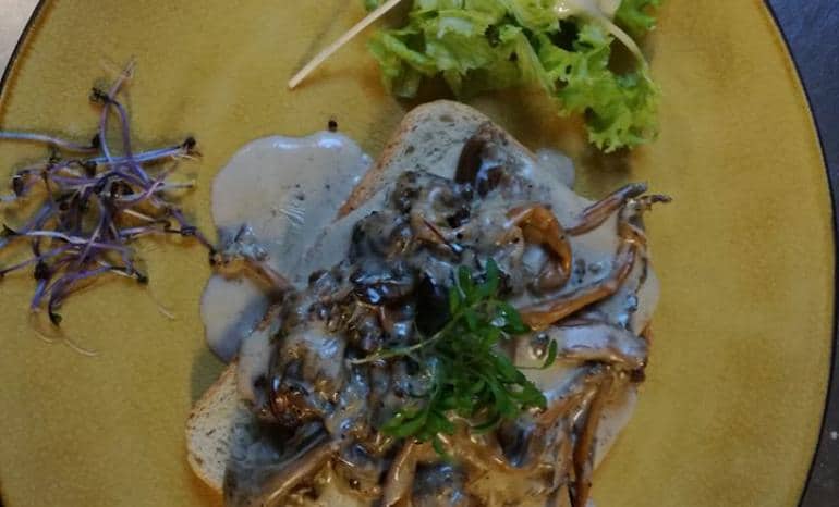 Aux Saveurs d'Ardenne, restaurant à Vencimont (Gedinne)