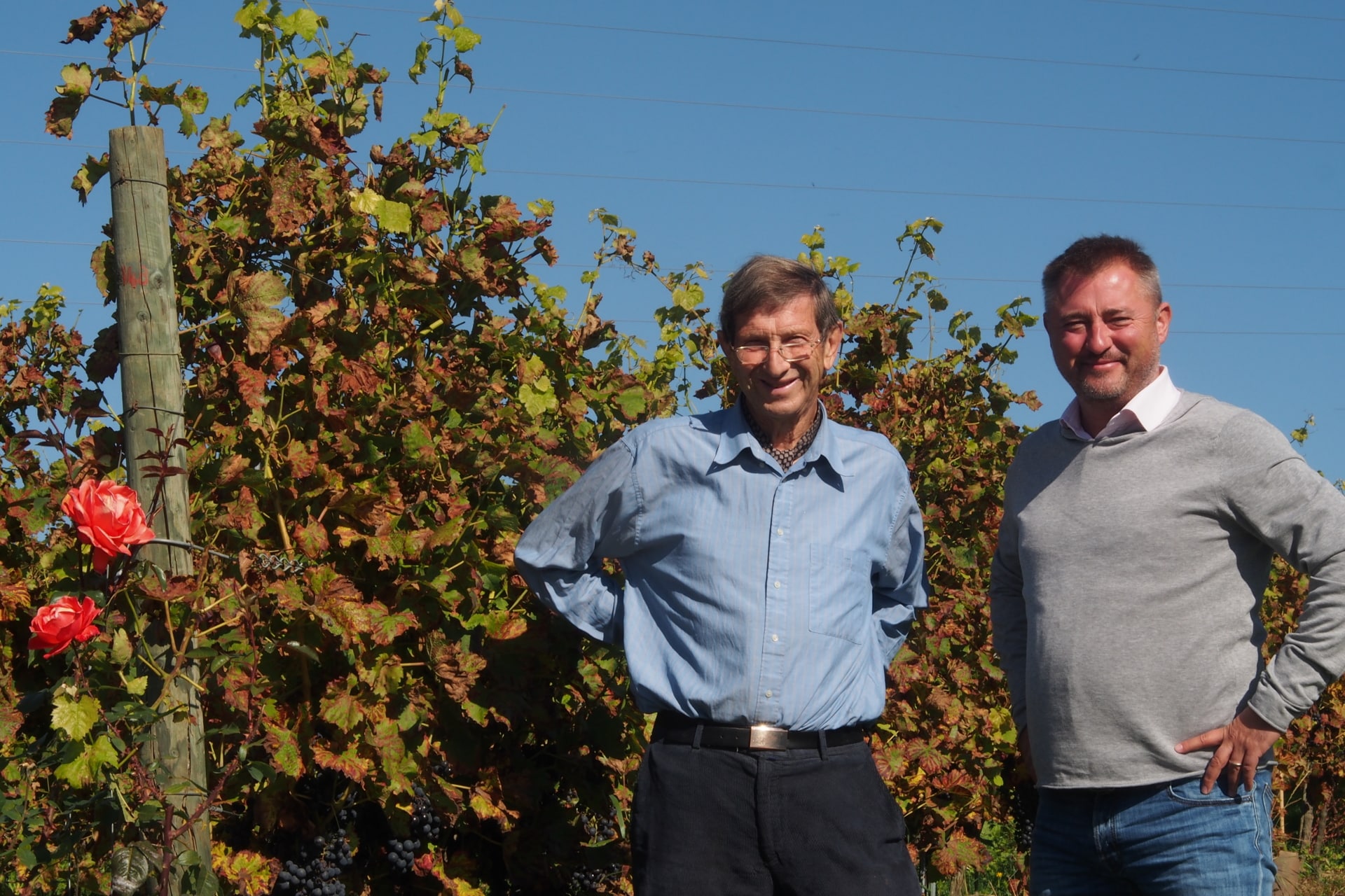 Le Domaine du Chenoy, premier producteur de vin rouge belge